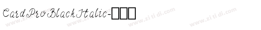 CardPro BlackItalic字体转换